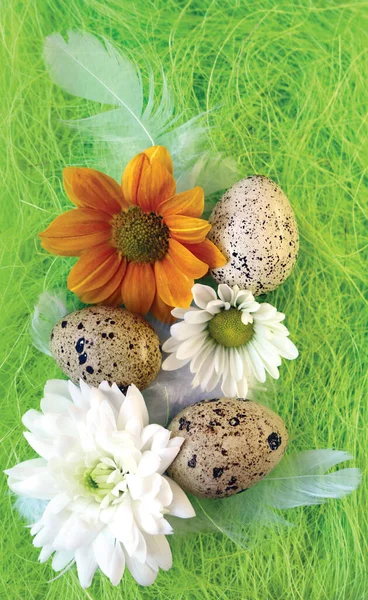 Wielkanocna Martwa Natura Kwiatami Jajkami Piórami Zielonym Włóknie Sizalu Znakiem — Zdjęcie stockowe