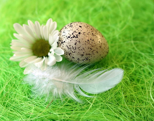 Wielkanocna Martwa Natura Kwiatami Jajkami Piórami Zielonym Włóknie Sizalu Znakiem — Zdjęcie stockowe