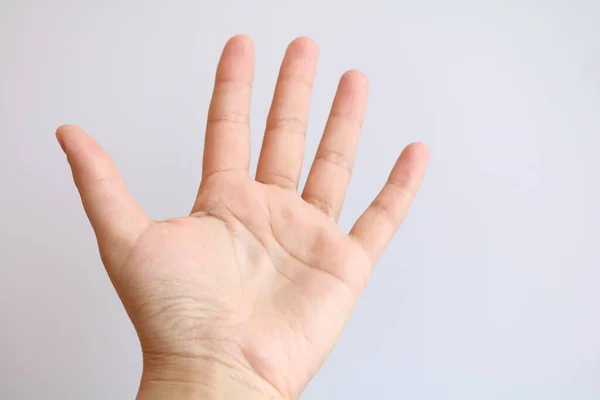 Palm Hand Extended Forward — Stock Photo, Image