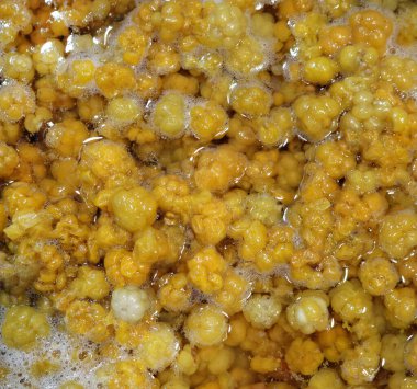 Bulutçileği - kalıcı bitkilerin kuzey yenilebilir meyvesi.