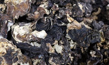 Kurumuş mantarlar bahar yenilebilir mantarlar.