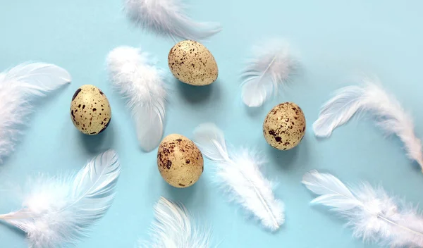 Wiosenne Niebieskie Tło Jajkami Białymi Piórami — Zdjęcie stockowe