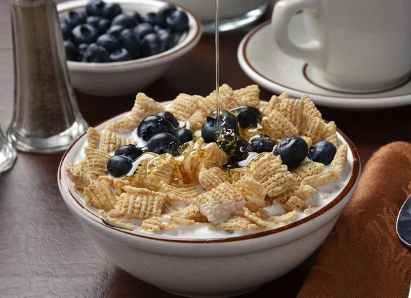 Breakfast cereal with blueberries — Stock Photo, Image