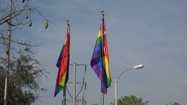 好莱坞西部悬挂在旗杆上的同志骄傲旗 — 图库视频影像