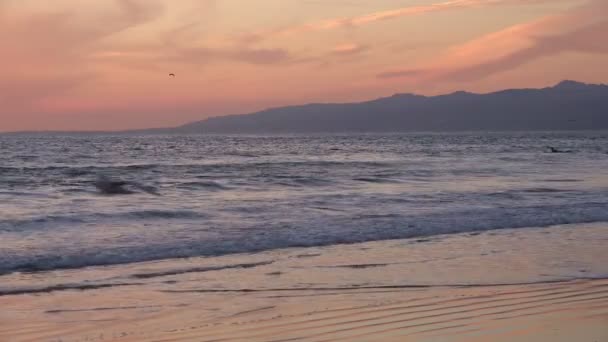 Beautiful Sunset Santa Monica Bay — Stock Video