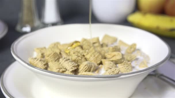 Versare Miele Una Ciotola Cereali Colazione All Avena — Video Stock