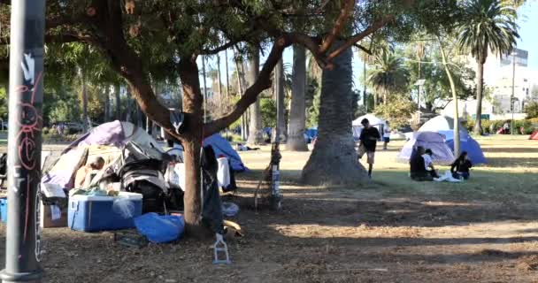 Los Angeles Usa Listopada 2020 Obozowisko Bezdomnych Wśród Drzew Parku — Wideo stockowe
