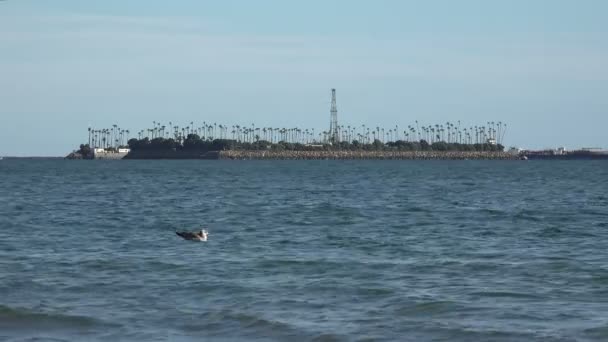 Isla Perforación Petróleo Long Beach Harbor — Vídeos de Stock