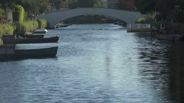Bilen Korsar Bro Över Vackra Venedig Kanaler Södra Kalifornien — Stockvideo