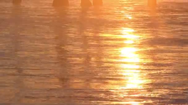Beautiful Bright Orange Reflections Surf Sunset — Stock Video
