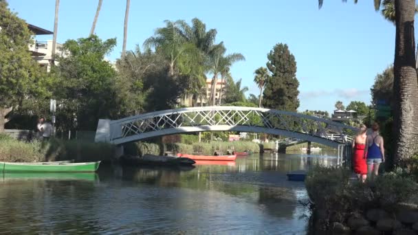 Venice California Usa Června 2019 Turisté Procházející Slavných Benátských Kanálech — Stock video