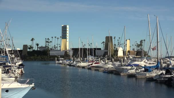 Los Ángeles Usa Marzo 2019 Barcos Puerto Long Beach Isla — Vídeos de Stock