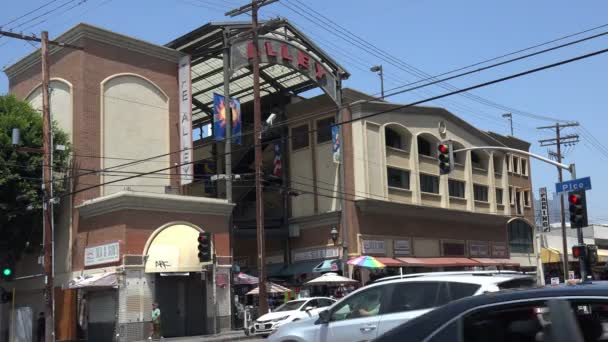 Los Ángeles Usa Agosto 2019 Entrada Lateral Famoso Callejón Santee — Vídeo de stock