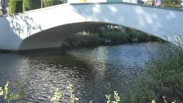 カリフォルニアの美しいヴェネツィア運河に架かる橋 — ストック動画