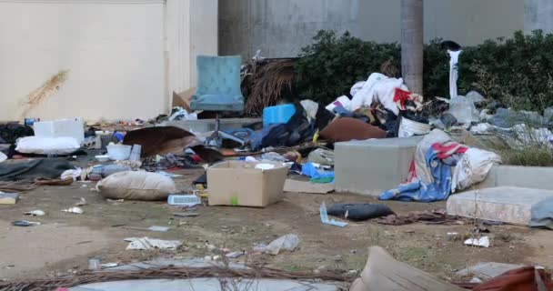 Popelnice Bezdomovců Válejí Chodnících Los Angeles — Stock video