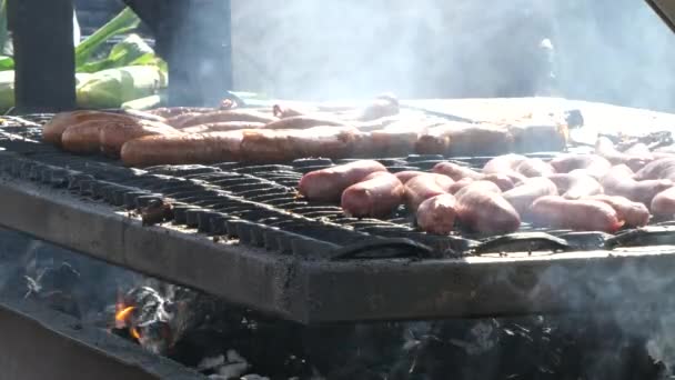 Tlusté Buclaté Klobásy Vaření Venkovní Gril Gril — Stock video