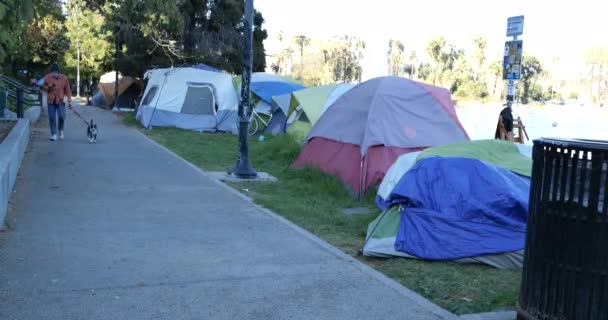 Los Angeles Usa November 2020 Homeless Camp Lake Echo Park — стоковое видео