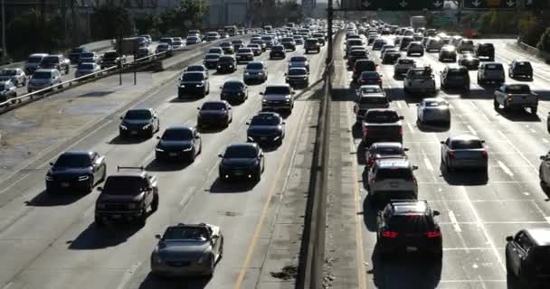 Tráfico Pesado Una Autopista Los Ángeles Por Tarde — Vídeo de stock