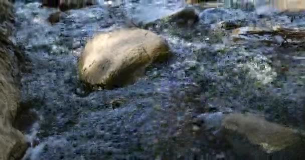 Eau Coule Dans Beau Ruisseau Rocheux Près — Video