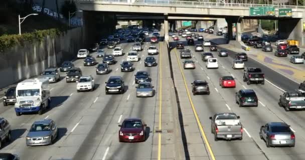 Traffico Intenso Sulla Harbor Freeway Nel Centro Los Angeles — Video Stock