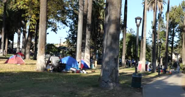 Los Angeles Usa Noviembre 2020 Campamento Indigentes Todo Echo Park — Vídeos de Stock