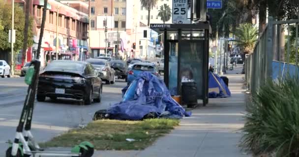 Los Angeles Usa Dicembre 2020 Campeggio Senzatetto Alla Fermata Dell — Video Stock