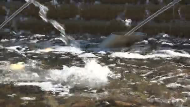 Acercamiento Chorros Agua Una Fuente Salpicando Una Piscina — Vídeos de Stock