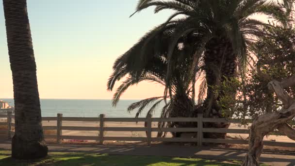 Hermosa Vista Mar Tarde Desde Parque Playa Tropical — Vídeos de Stock