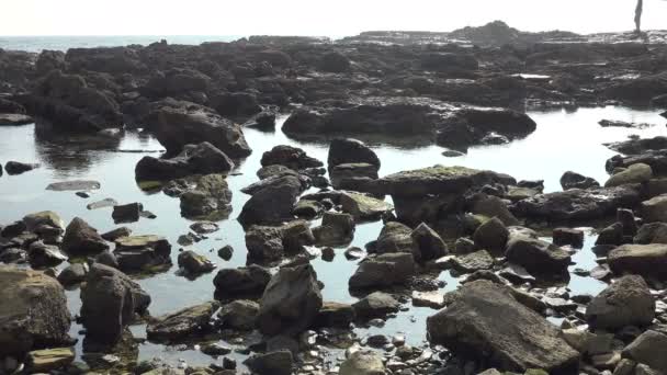 南カリフォルニアの岩の多い太平洋岸線に沿った潮溜まりの閉鎖 — ストック動画