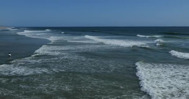 Une Série Vagues Qui Roulent Vers Rivage Huntington Beach Une — Video