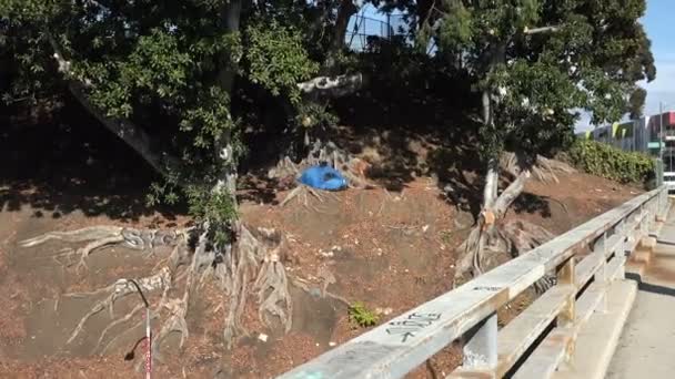 Los Angeles Bir Otobanın Yanındaki Evsizin Çadırına Zum Yap — Stok video