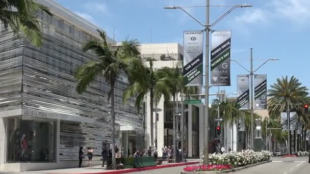 世界で最も高価なショッピング街であるロデオドライブの高級店 — ストック動画