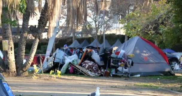 Los Angeles Usa Stycznia 2021 Namioty Bezdomnych Wypełniają Macarthur Park — Wideo stockowe