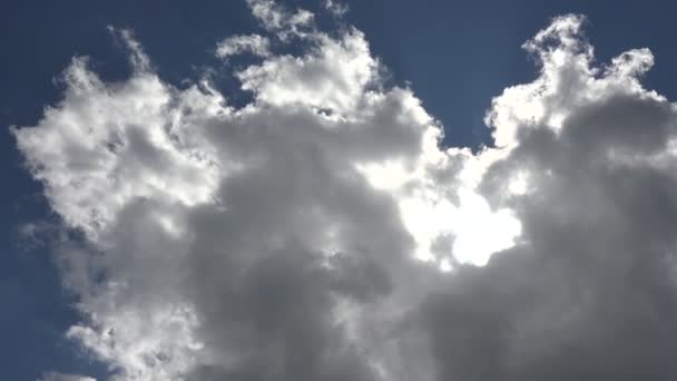 Birds Flying Clouds Bright Silver Lining — Vídeo de stock