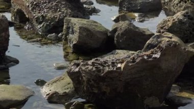 Okyanustaki gelgit havuzunda yosun tutmuş kayalar ve dalgalanan su.