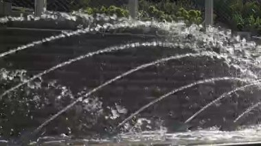 Şehirdeki halka açık bir parktaki güzel bir çeşmeye yakın.