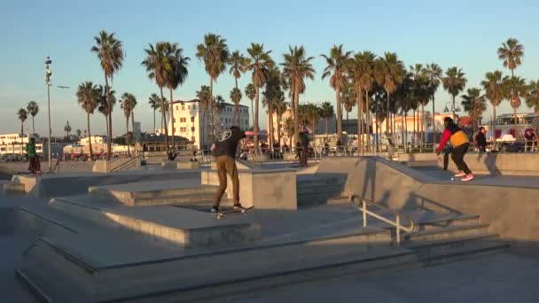 Venecia Enero 2020 Patinadores Famoso Venice Skate Park — Vídeos de Stock