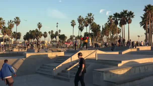 Venecia Enero 2020 Turistas Patinadores Disfrutan Del Famoso Venice Skatepark — Vídeos de Stock