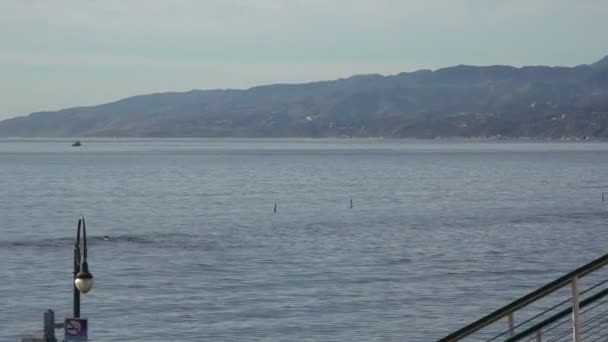 Vergrößern Sie Die Bucht Von Santa Monica Die Berge — Stockvideo