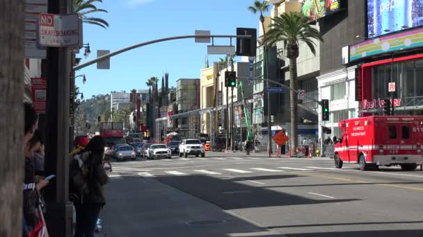 Hollywood Styczeń 2020 Hollywood Blvd Przygotowuje Się Rozdania Oscarów — Wideo stockowe