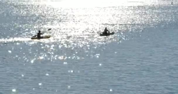 Silhouetted Kajaki Wiosłujące Portu Słoneczne Popołudnie — Wideo stockowe