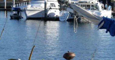 Yazın tropik bir limanda güzel bir marina. 