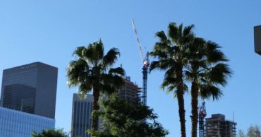 Los Angeles şehir merkezinde palmiye ağaçları arasında inşaat vinçleri görüldü