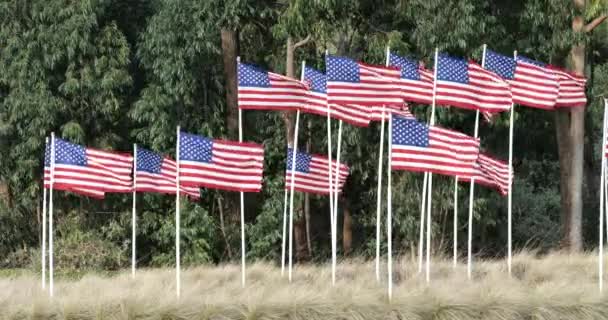 Group American Flags Blowing Wind Memorial Palos Verdes California — Stock Video