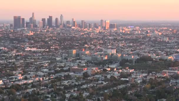 Los Angeles Skyline Afternoon Sunlight — Stock Video