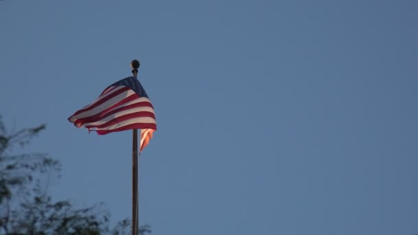 Een Amerikaanse Vlag Waait Wind Tegen Een Blauwe Lucht — Stockvideo