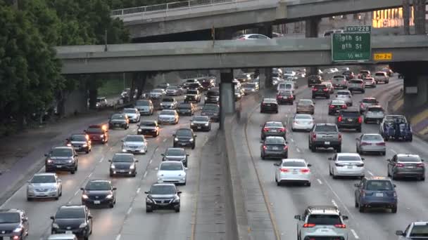 Traffic Harbor Freeway Downtown Los Angeles Sunset — Stock Video