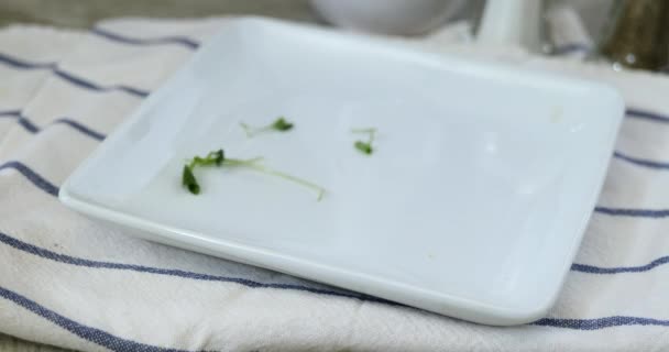 Healthy Fresh Micro Greens Falling Plate — Stock Video