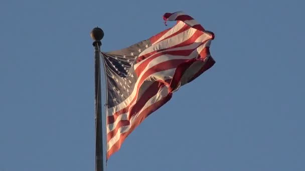 Μια Αμερικανική Σημαία Που Φυσάει Στον Άνεμο — Αρχείο Βίντεο