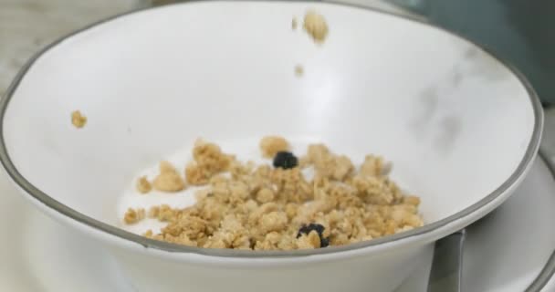 Turnarea Glutenului Fără Semințe Granola Afine Uscate Într Castron — Videoclip de stoc